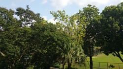 Tampines Court (Enbloc) (D18), Condominium #116440092